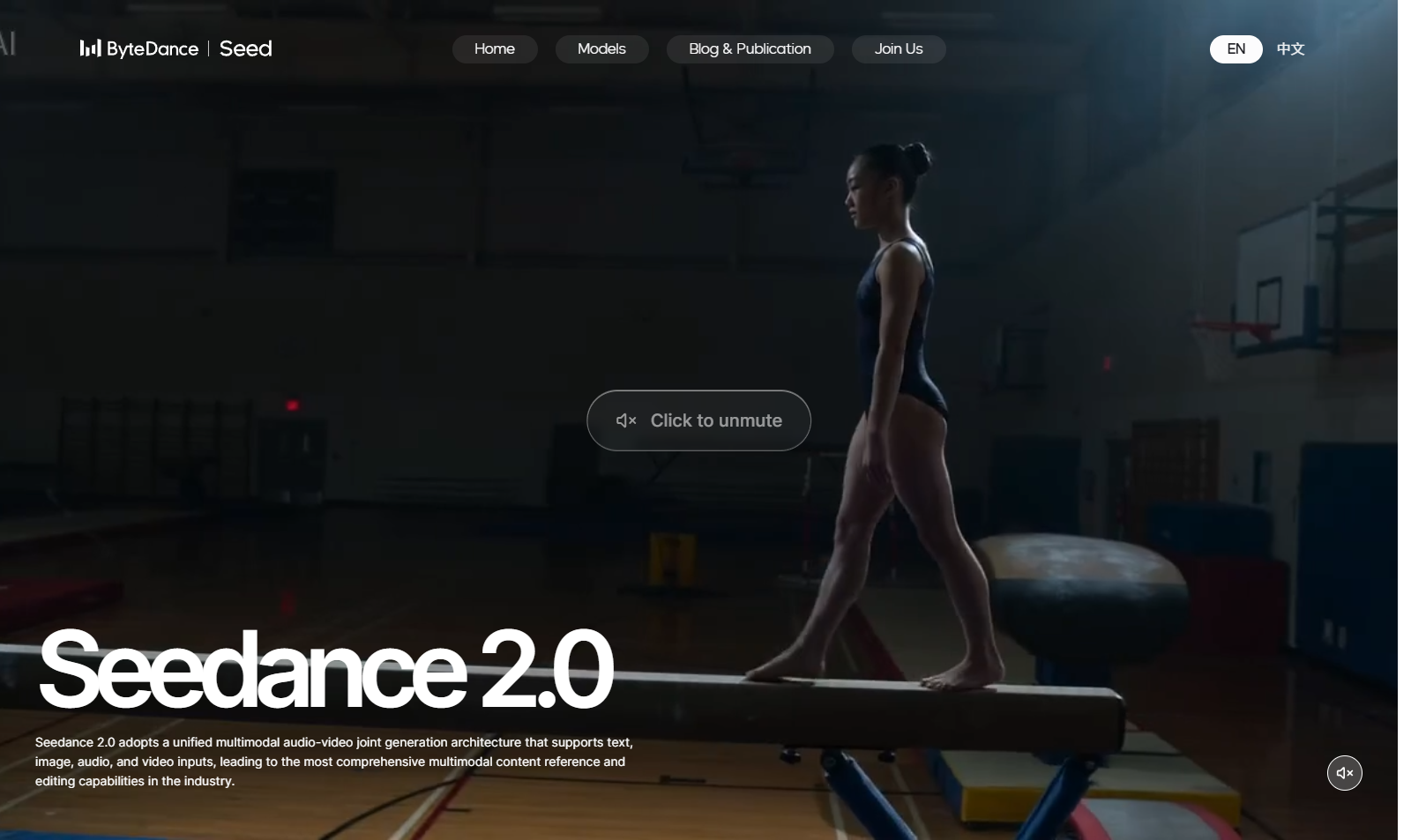 Seedance 2.0